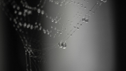 Collier de pluie