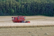 La moisson