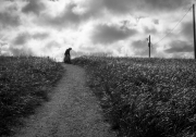 Chemin faisant