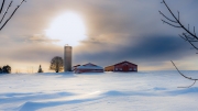 Dormance hivernale