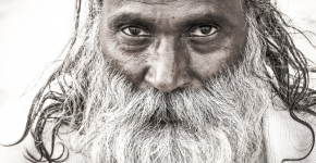 L\'Hirsute