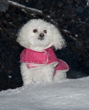 Molly en hauteur