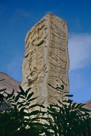Renaissance Maya