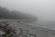 Brouillard