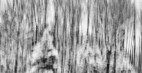 Sous le suaire de l'hiver