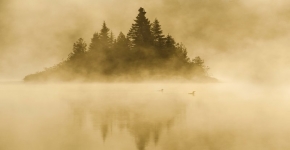 L'aube voilée de brume