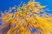 Poésie d'automne