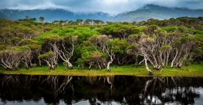 Wilsons Promontory