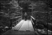 Retour vers la nature