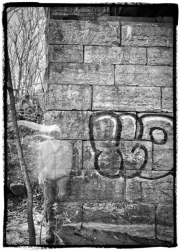 Laisser sa trace